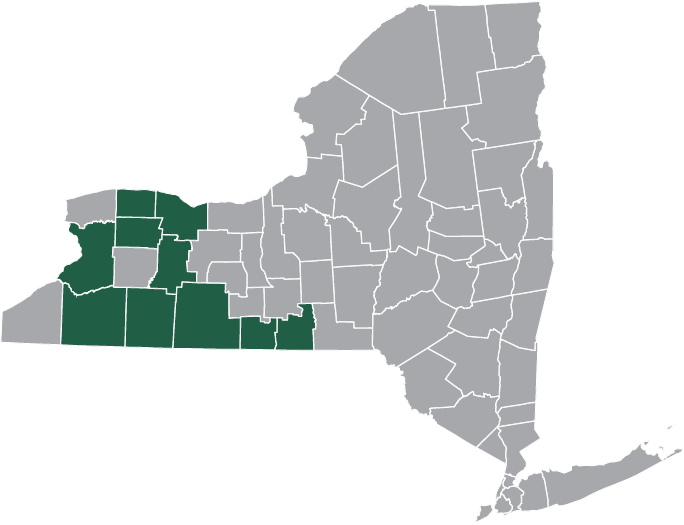 Counties served by the Finger Lakes/Western region of Team Awareness NY